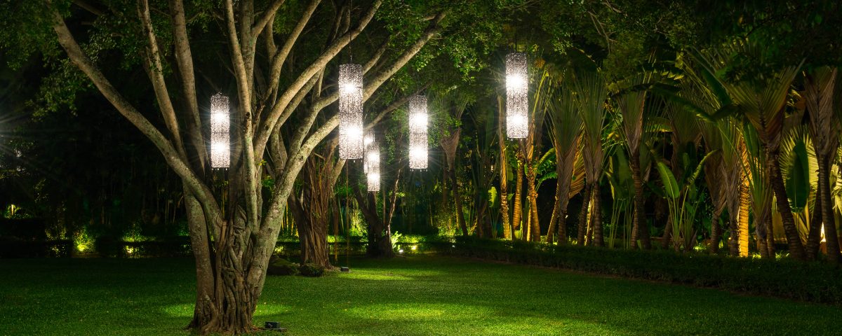 tree with lamp lighting