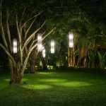 tree with lamp lighting