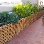 growart rincon ambiente