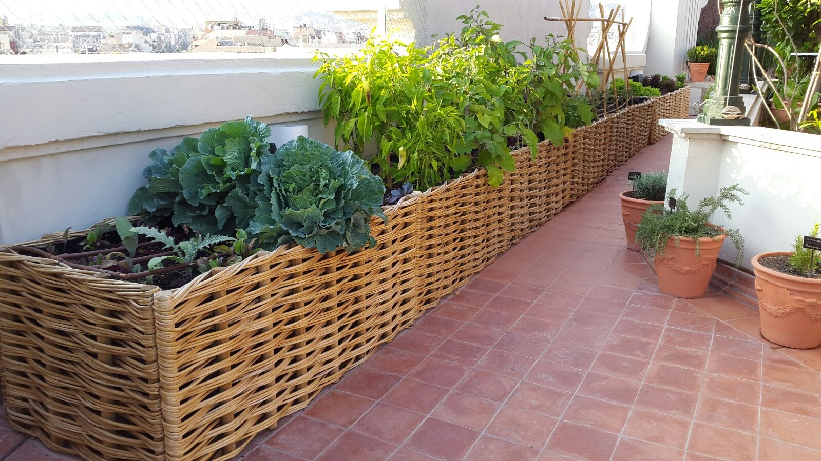 growart rincon ambiente